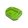60V Ładowarka 2A Greenworks G60UC
